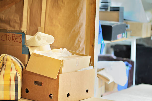 Best Professional Junk Removal  in Clinton, NY
